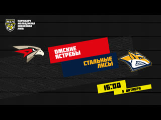 Live! париматч мхл «омские ястребы» «стальные лисы» ( – 1600)