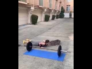 Тренироа с пёселем nhtybhjdrf c g`ctktv nhtybhjdrf c g`ctktv nhtybhjdrf c g`ctktv nhtybhjdrf c g`ctktv nhtybhjdrf c g`ctktv nh