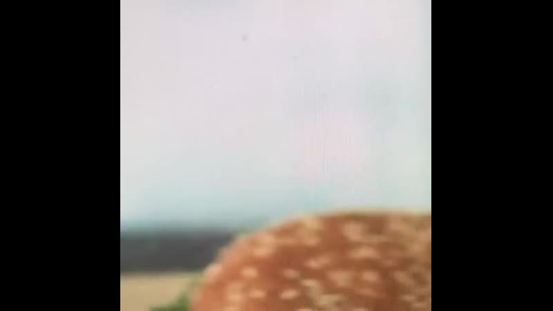 Baller shymside b6xp2ygbajb mp4