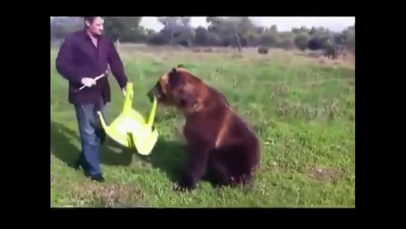 Никогда не показывайте это видео американцам