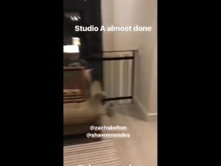 Ryan tedder’ instagram story, feb 21, 2018