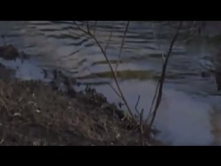 Bones whatagreatdaytostayindoors feat jon simmons of balance composure