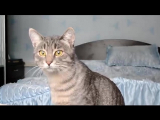 Tret style philip and sonia