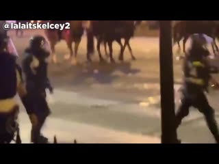 Chronicles of the panic in america on the news
