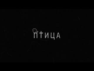 Acetic lady п т и ц а