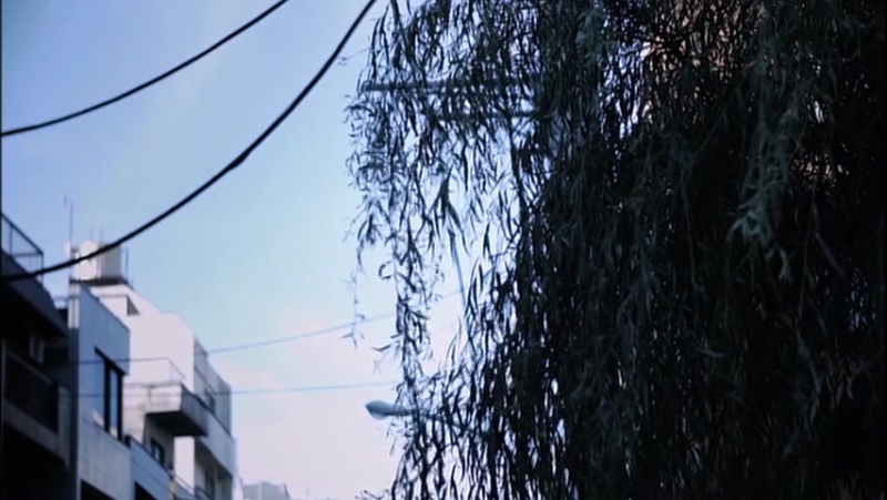 Hiroki yasumoto &amp; kosuke toriumi hana