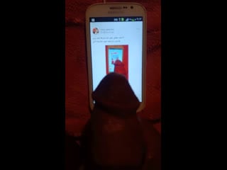 Live دياثه وصور زوجات