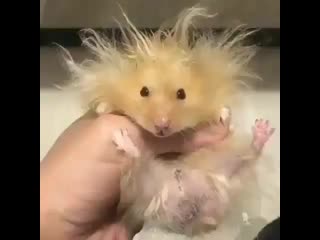 Fit bloger 20201016 155209 0 mp4