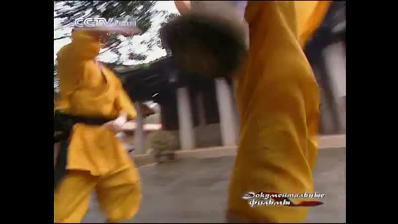 Тайные книги кунфу