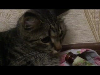 Sweden family documental film