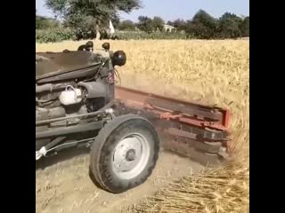 Шикарно косит