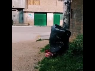 Live sochi 20200402 030530 0 mp4