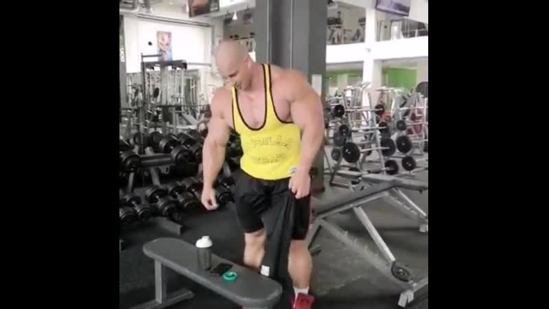 Ifbb elitepro michal krizo 20200831 173739 mp4