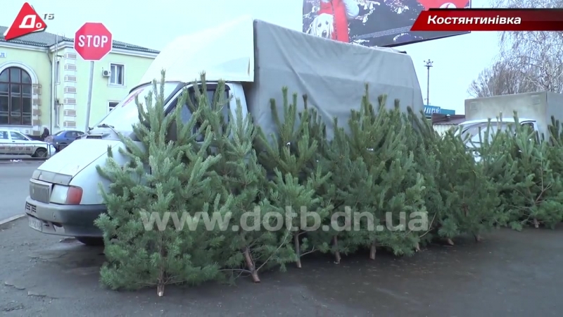 У костянтинівці поліція почала перевіряти ялинкові базари