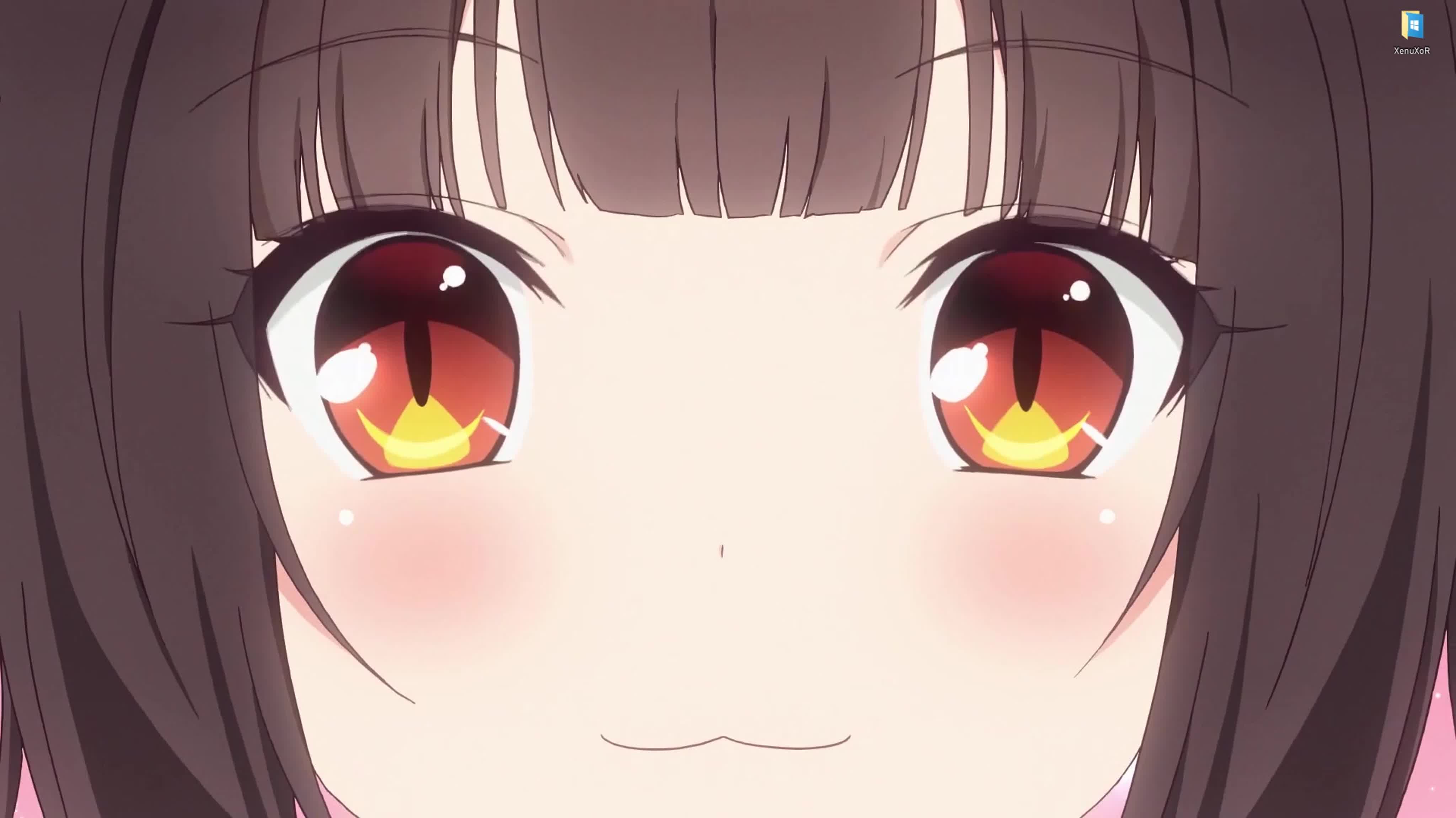 lolis без цензуры Аниме девушка кошка по имени чокола из игры nekopara живые обои для  wallpaper engine watch online