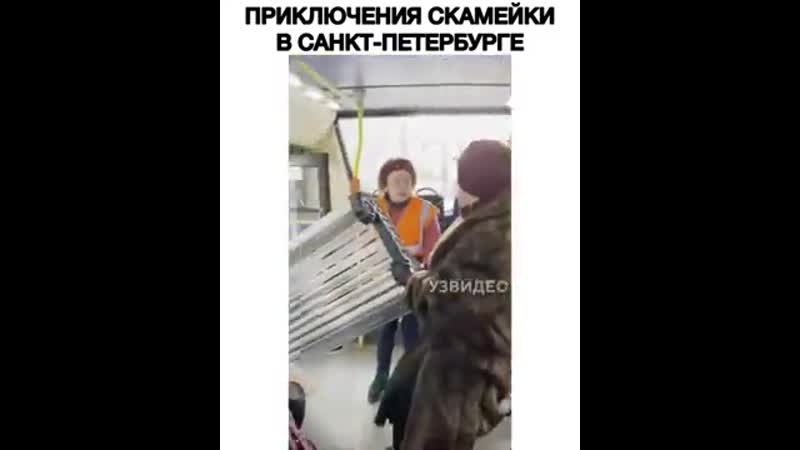 Приключения скамейки в санкт петербурге