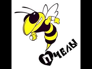 Пчёлы ролик