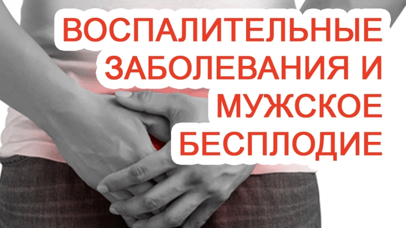 Воспалительные заболевания и мужское бесплодие