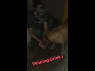 Sidharth and oscar instastory 25 03 2018