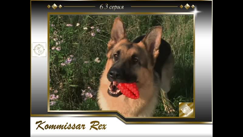 Komissar rex 5x10 das testament / комиссар рекс 63 серия завещание