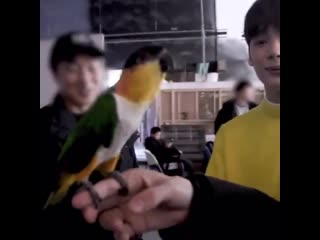 Beomgyus satoori when he was talking to the parrot