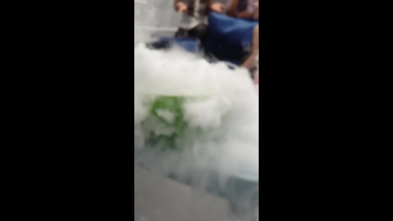 Эльза и химическое шоу😊