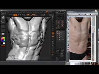 Steve lord «cont refinement of ex obliques and abs 5» (part 37/82)