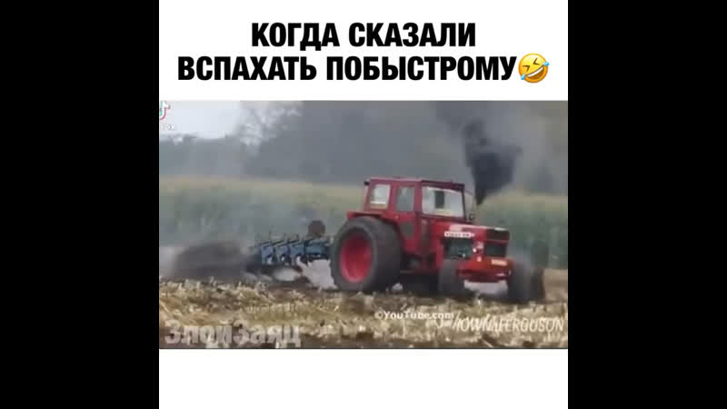 Когда дед попросил вспахать огород