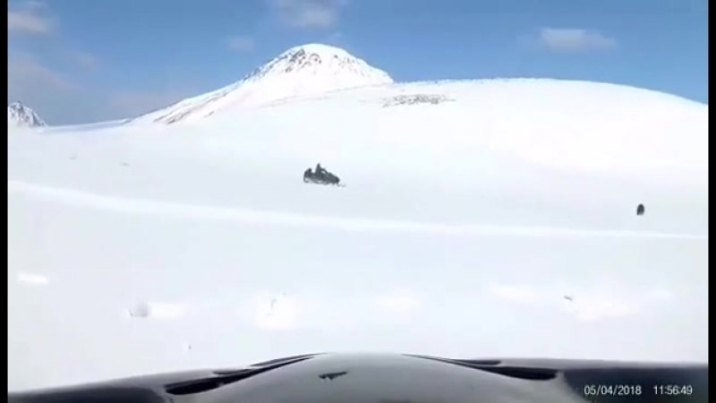 +18 оходнику не повезло а мишку жалко (последствия на фото)