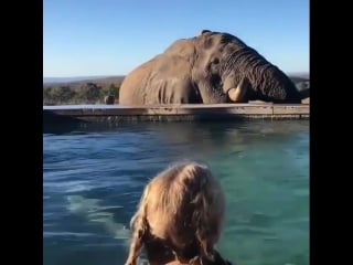 Зашел в гости водички попить