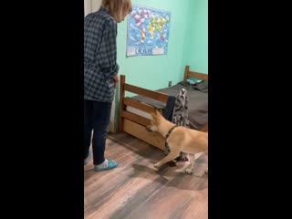 Моллиса воспитанная девочка!