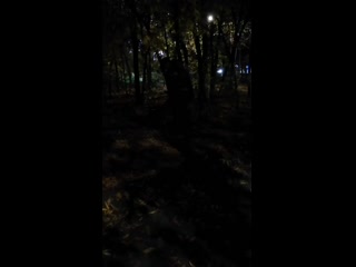 Vid 20201014 204145 mp4