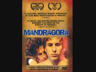 Мандрагора / mandragora 1997 г