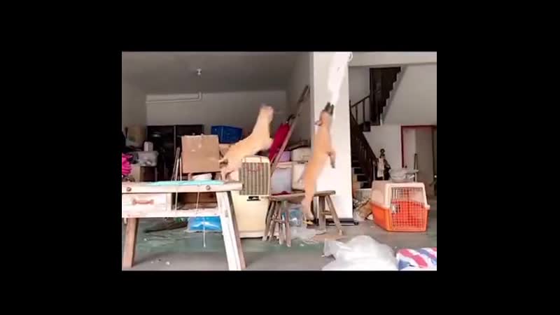 Lthеy having a gооd timе оr is it