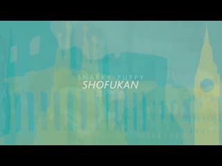 Snarky puppy shofukan (we like it here) • 2014