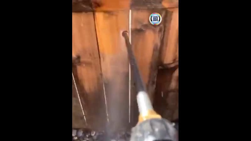 Когда жена сказала давай заедем к маме на дачу, там забор почистить, дел на 15 минут