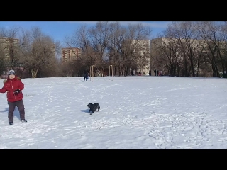Одри ловит снежки
