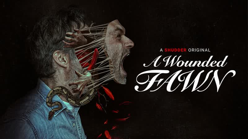Раненый оленёнок (2022) a wounded fawn