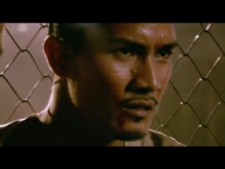 Fireball fairbol 2009 tayskiy 2 mux