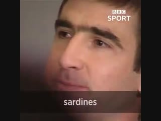 Onthisday in 1995, eric cantona was banned for nine month for kung fu kicking a crystal pa