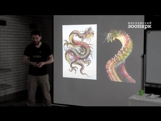 Лекция «удивительные обитатели арктических морей»