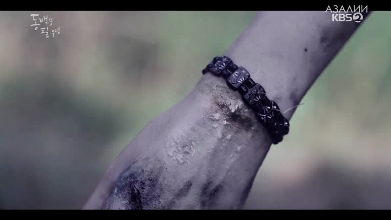 Когда цветет камелия 16/20