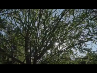 Wakeboarding magazine blake bishop #3