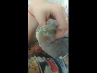 V 20190412 133103 vhdr on mp4