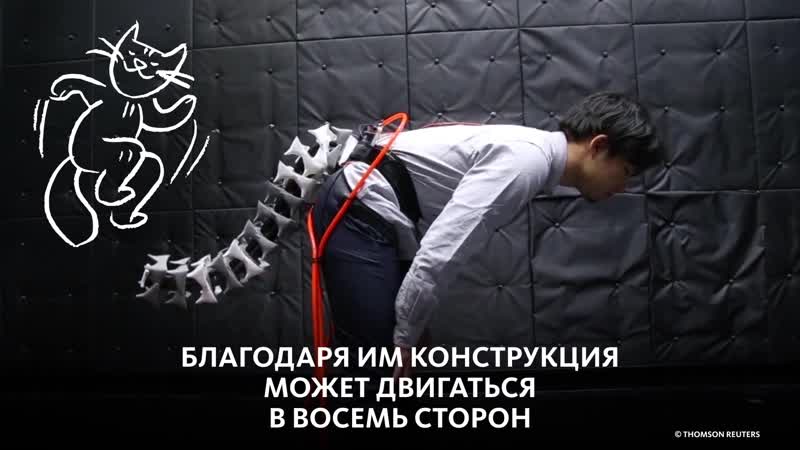 Учёные porn video – Японские учёные изобрели робохвост