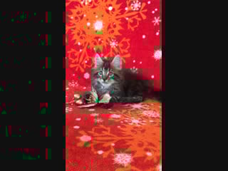 Чингиз хан г,