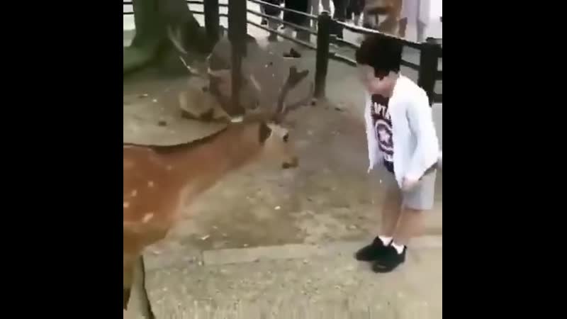 Вежливость