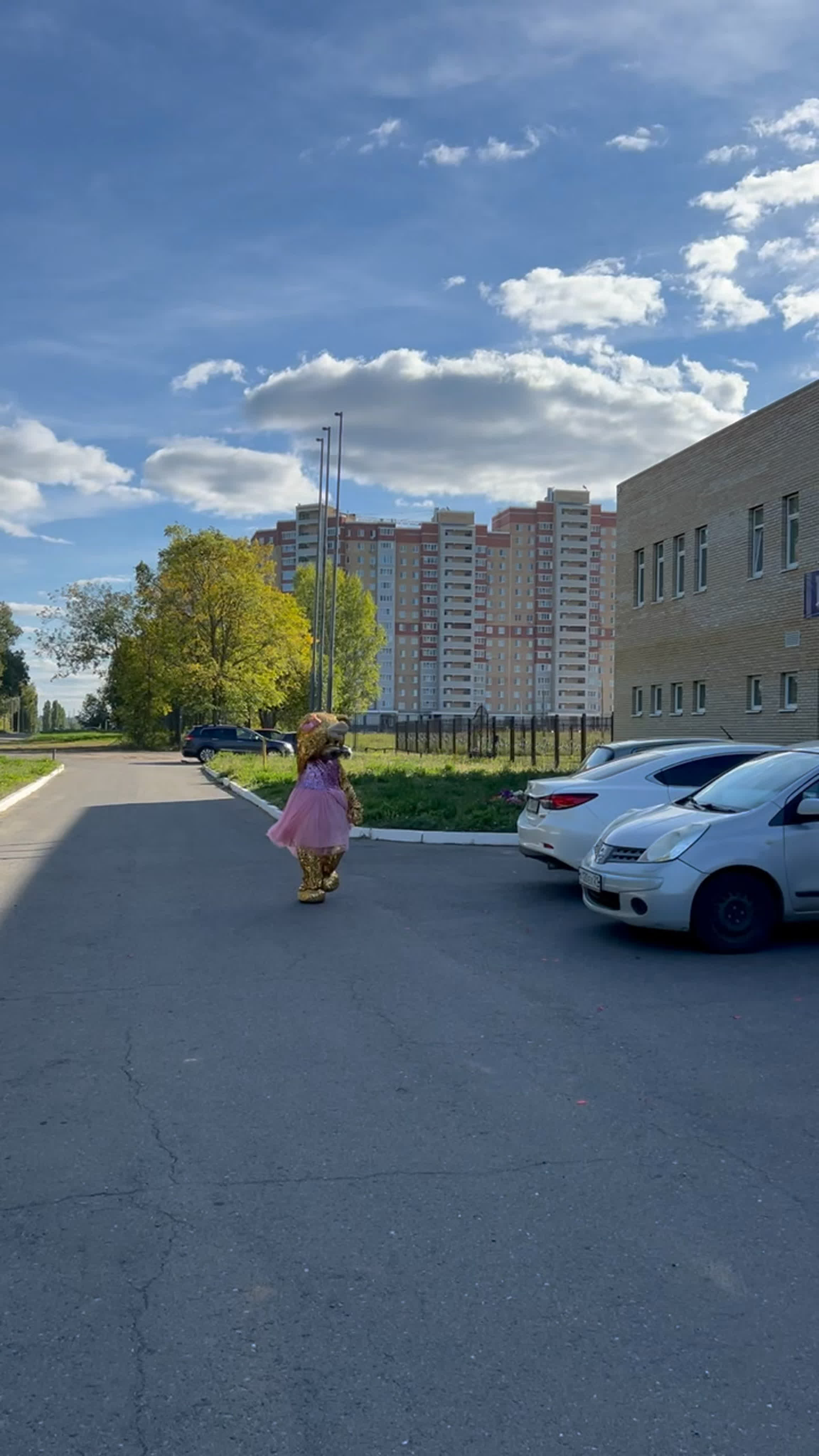 Видео от золотой мишка,зайка,тедди, хаги и шары чебоксары