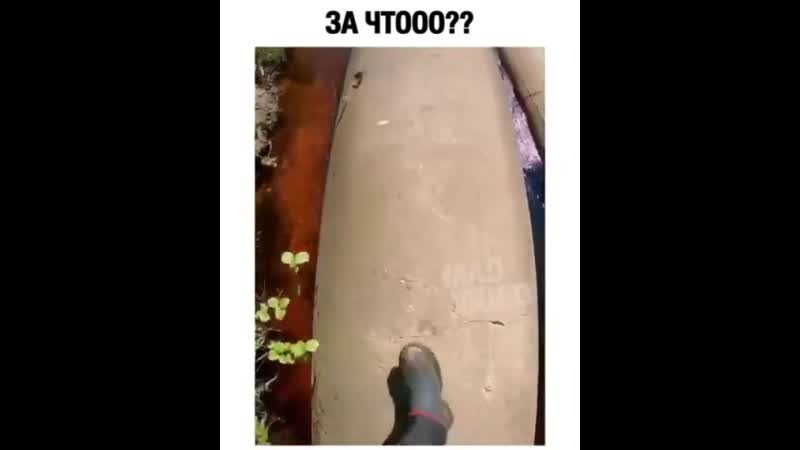 В окнце будет страшно мы предупредили