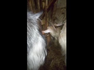 Trim 20200615 175655 mp4